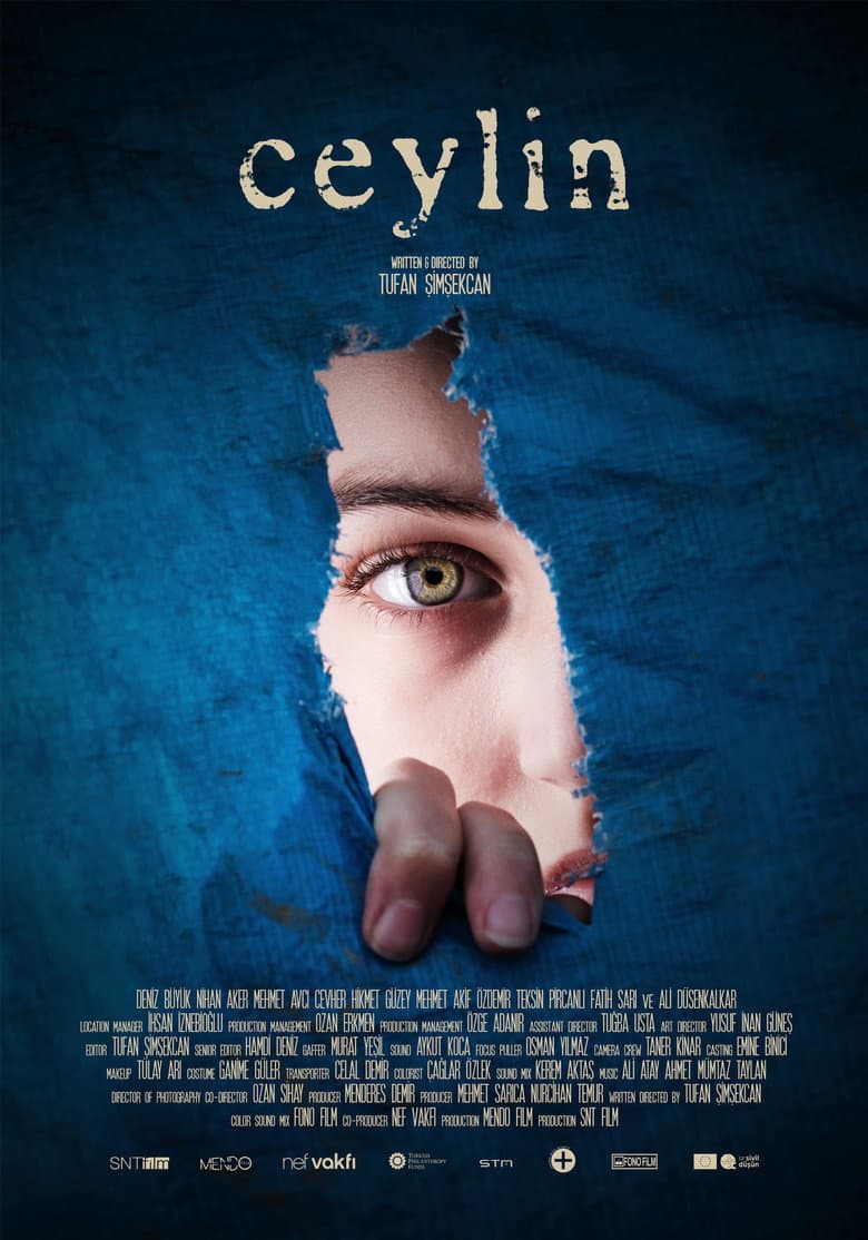 Ceylin poster