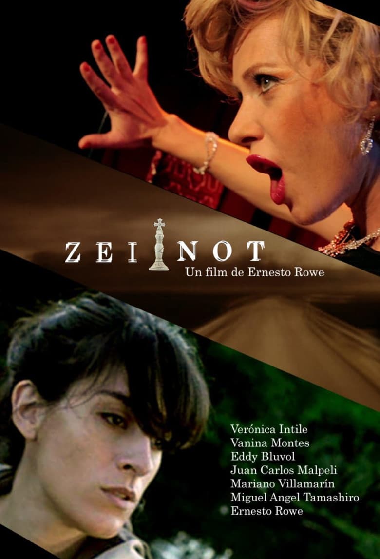 Zeitnot poster