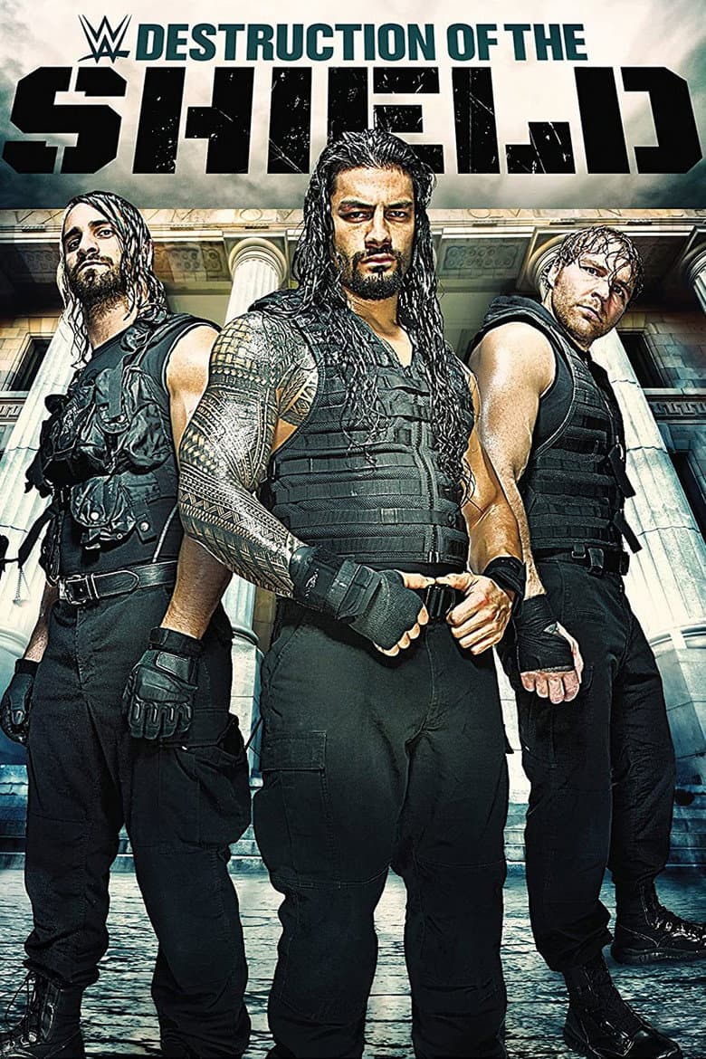 The Destruction of The Shield poster