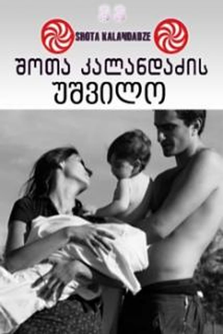 Lonely Childless Woman poster