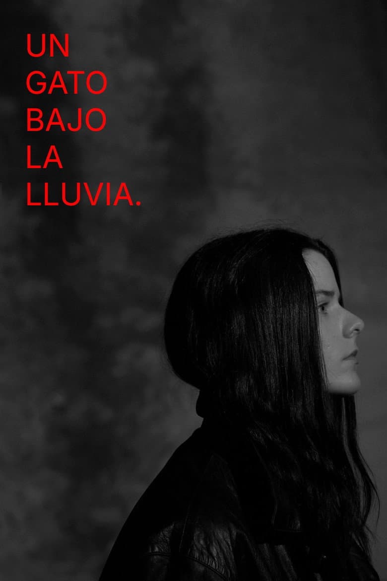 A Cat Under the Rain poster