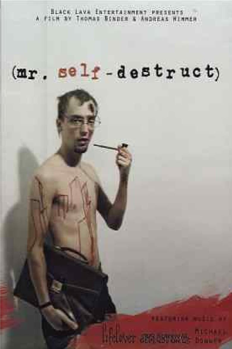 Mr. Self-Destruct poster