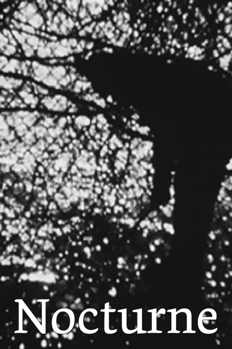 Nocturne poster