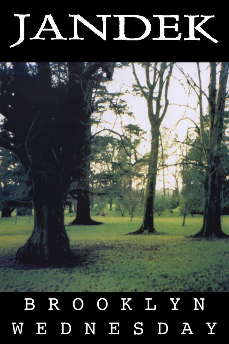 Jandek: Brooklyn Wednesday poster