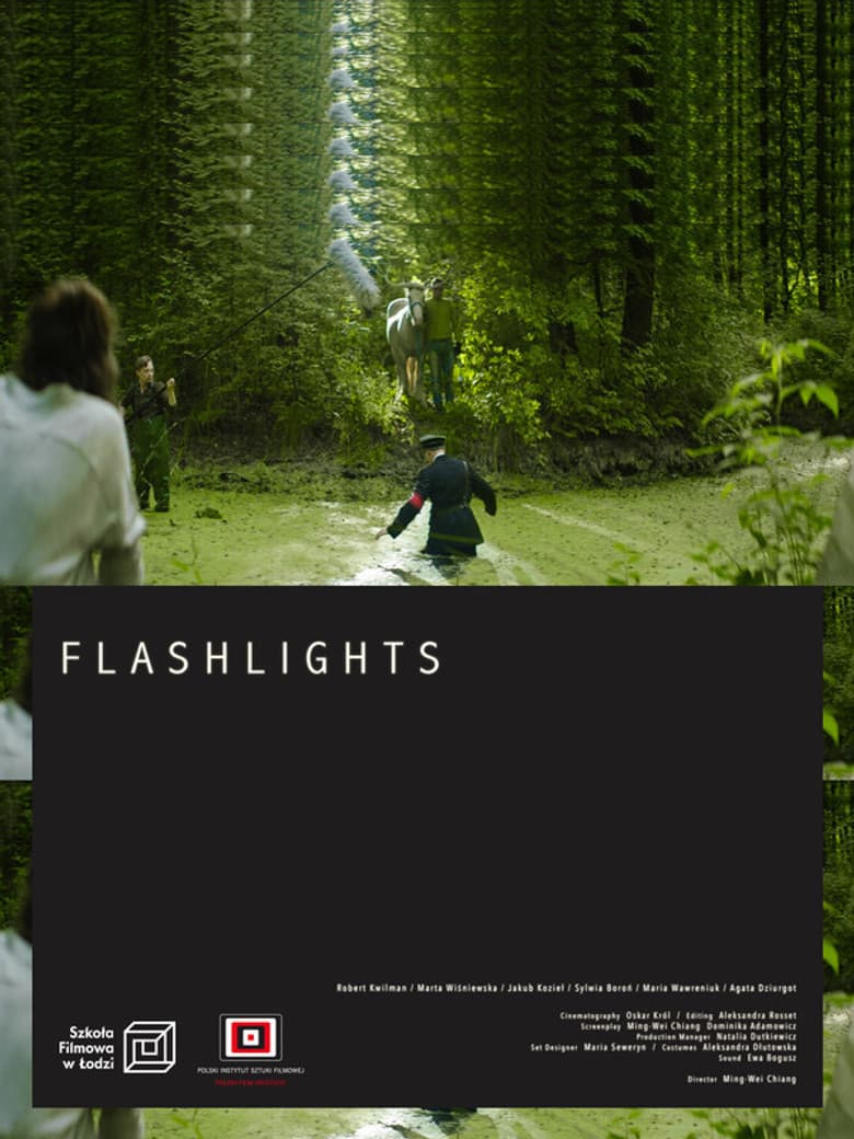 Flashlights poster