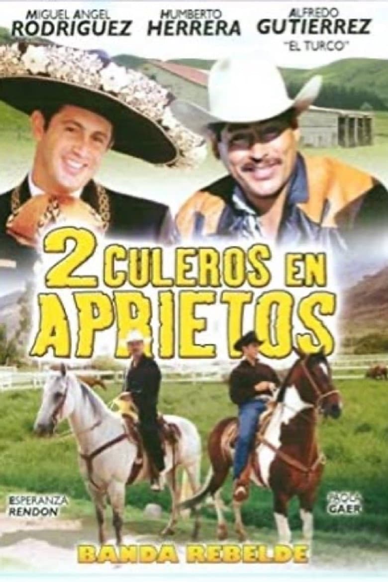 2 culeros en aprietos poster