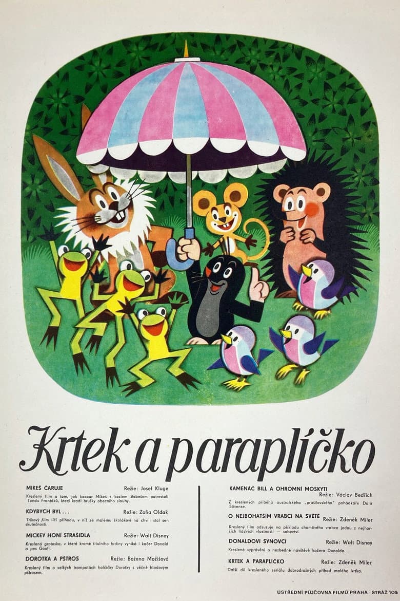 The Mole and the Umbrella poster