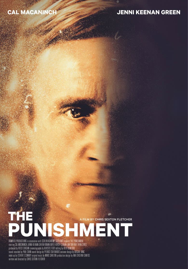 The Punishment poster