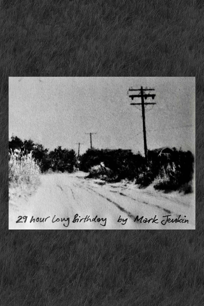 29 Hour Long Birthday poster