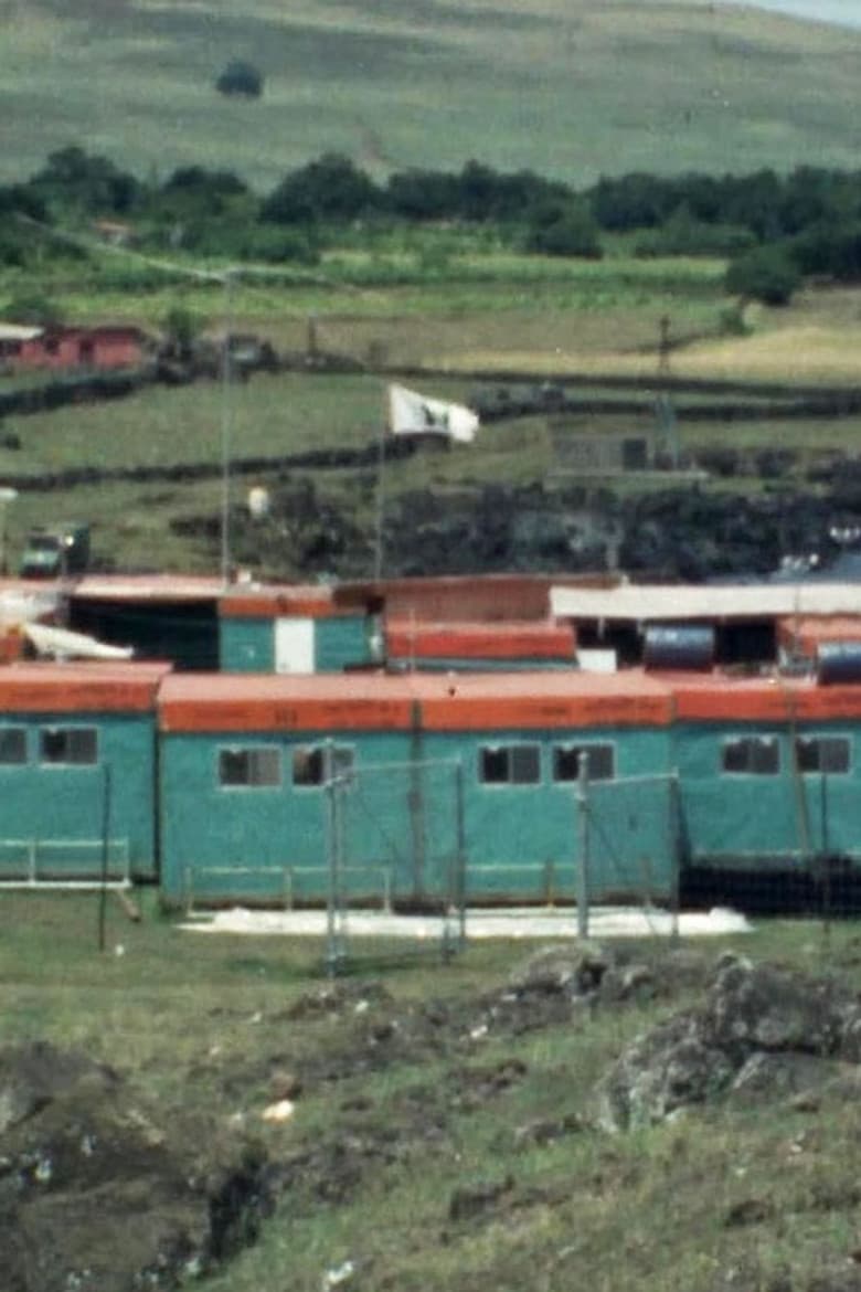 Island Observed poster