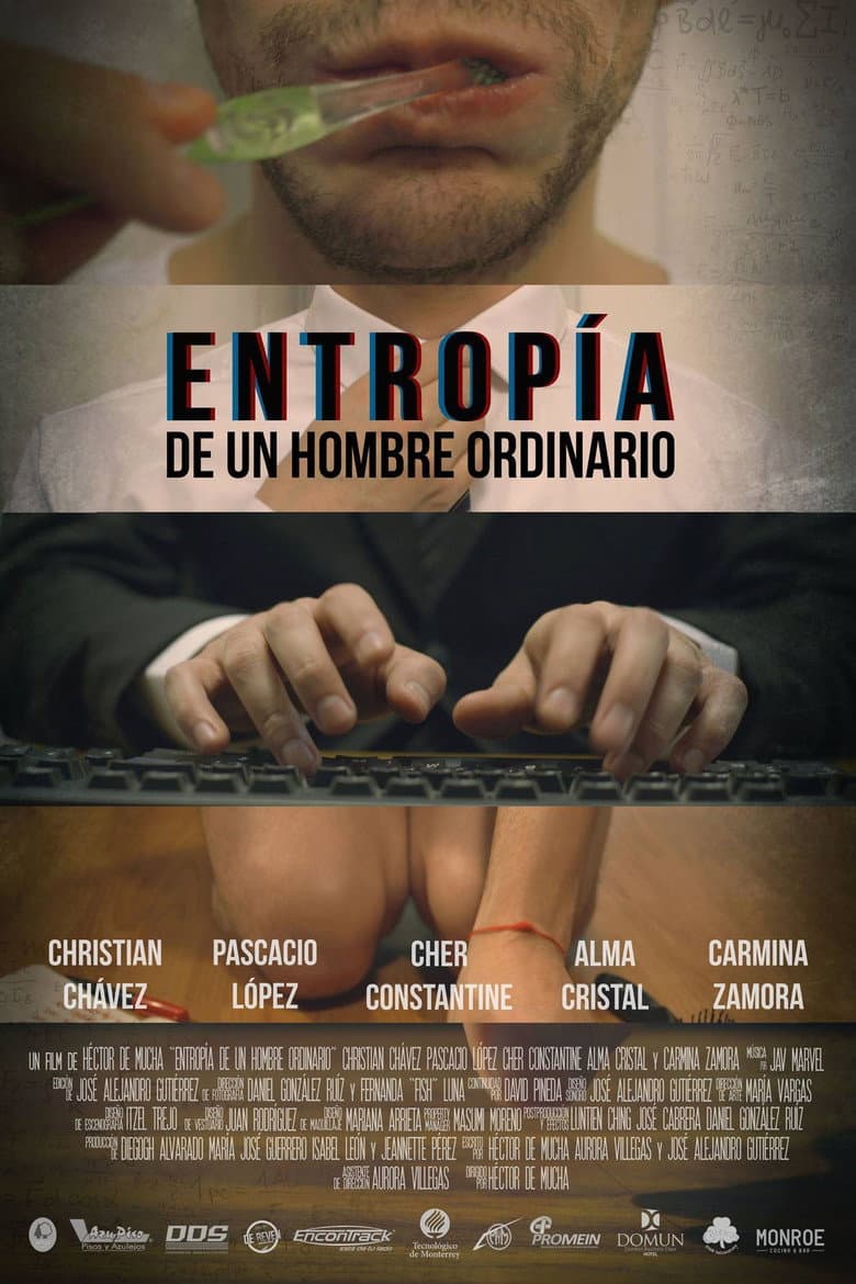 Entropía de Un Hombre Ordinario poster