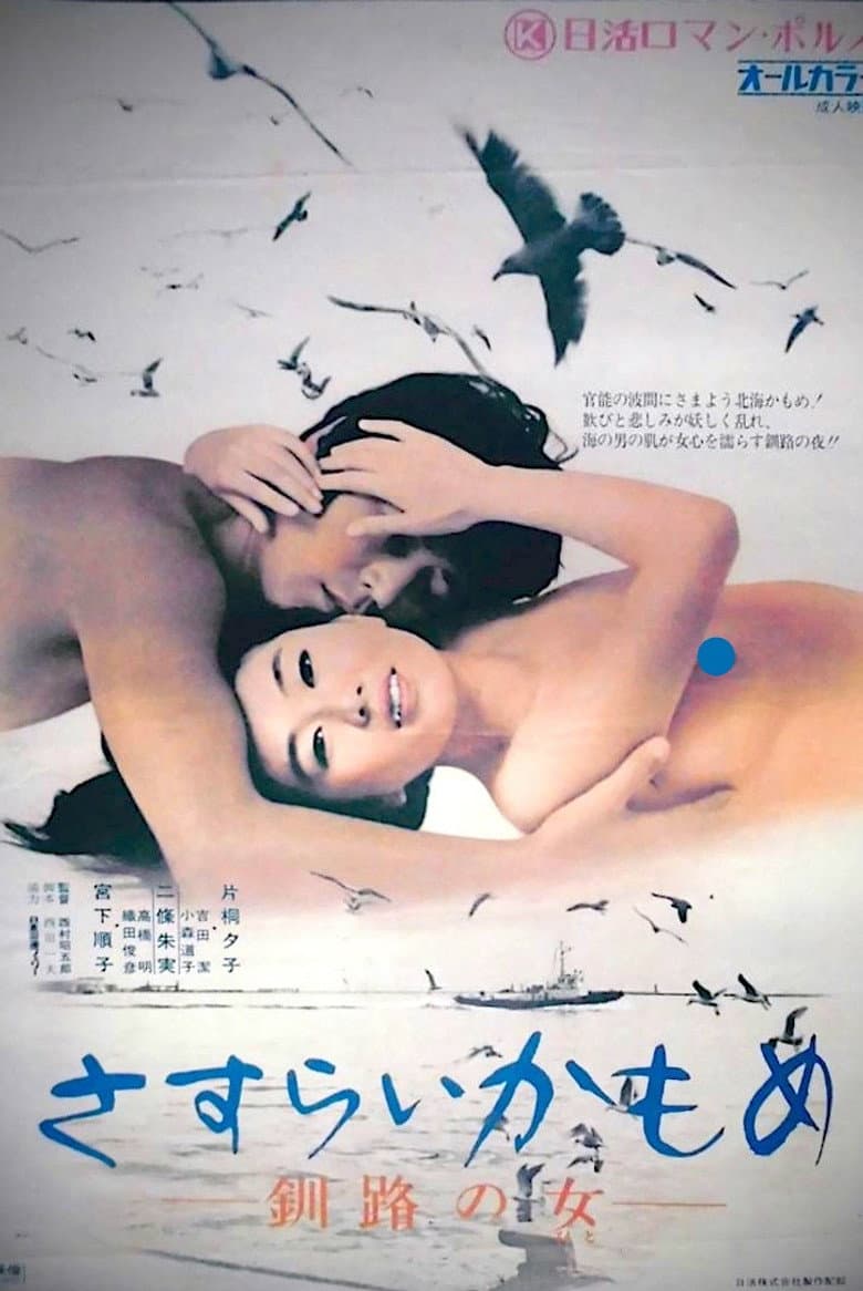 Wandering Seagull: Night in Kushiro poster