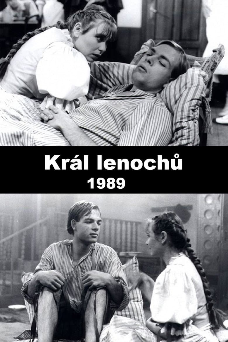 Král lenochů poster