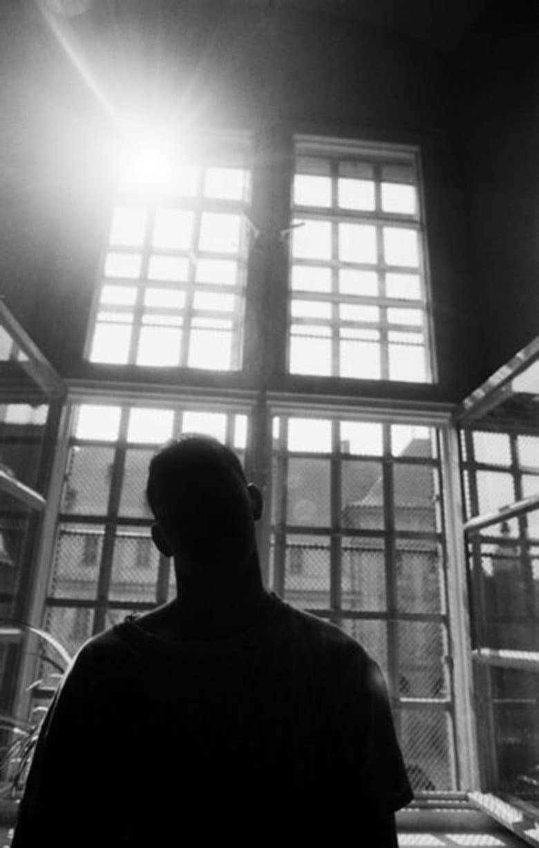 Die wilden Tiere poster