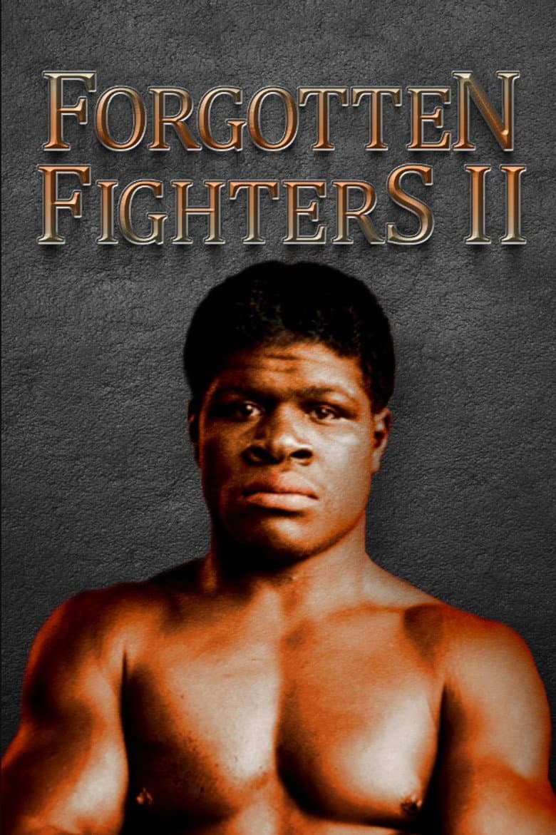 Forgotten Fighters II poster