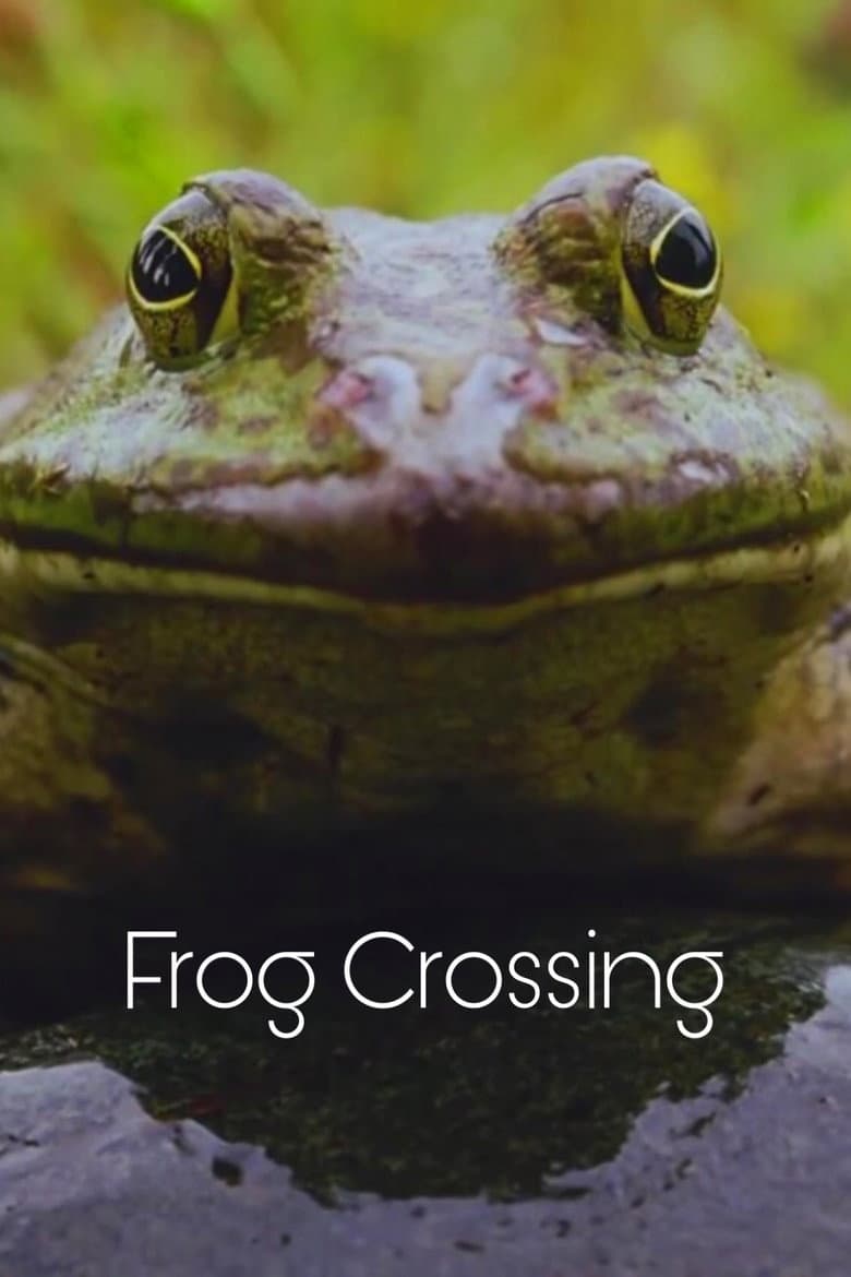 Frog Crossing poster