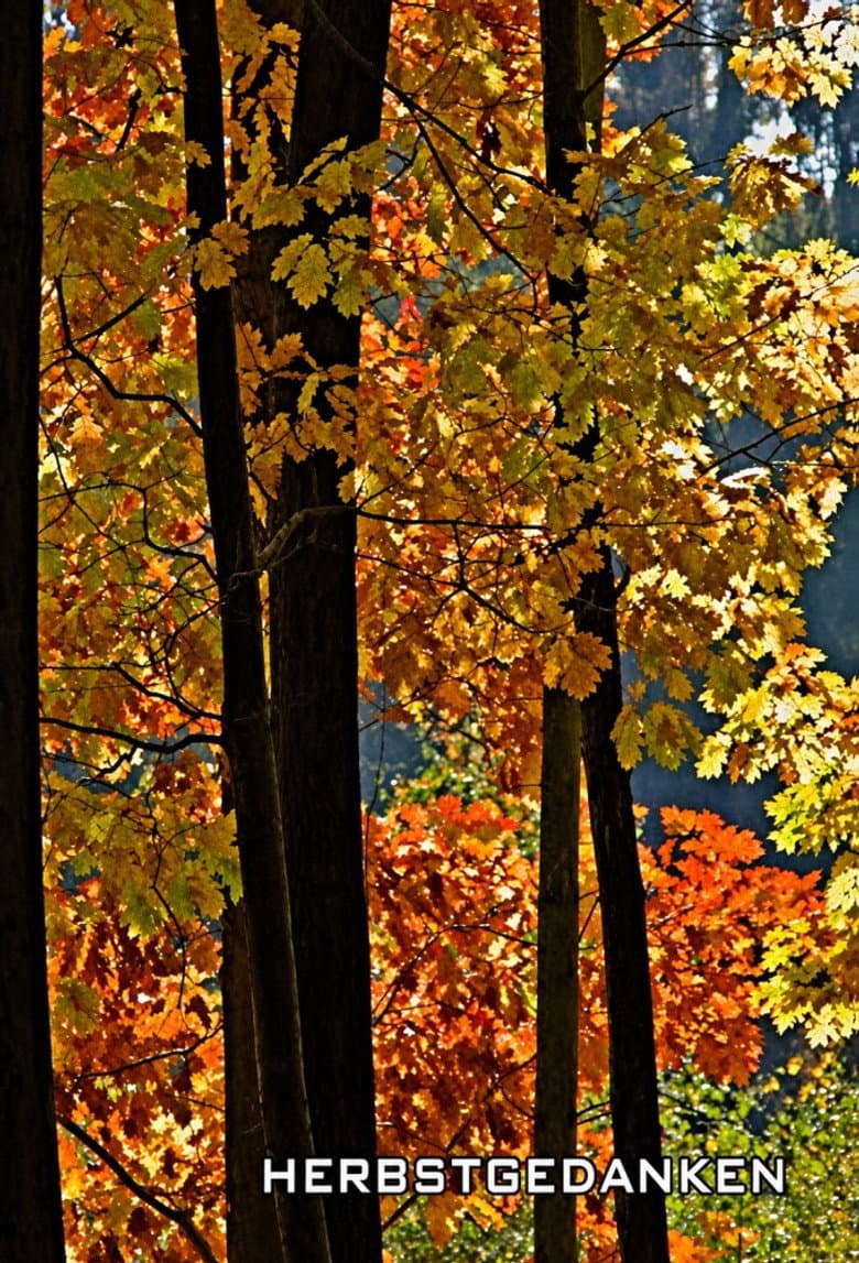 Herbstgedanken poster