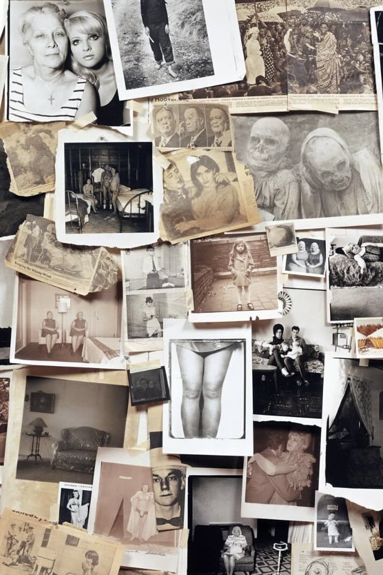 A Slide Show and Talk by Diane Arbus poster