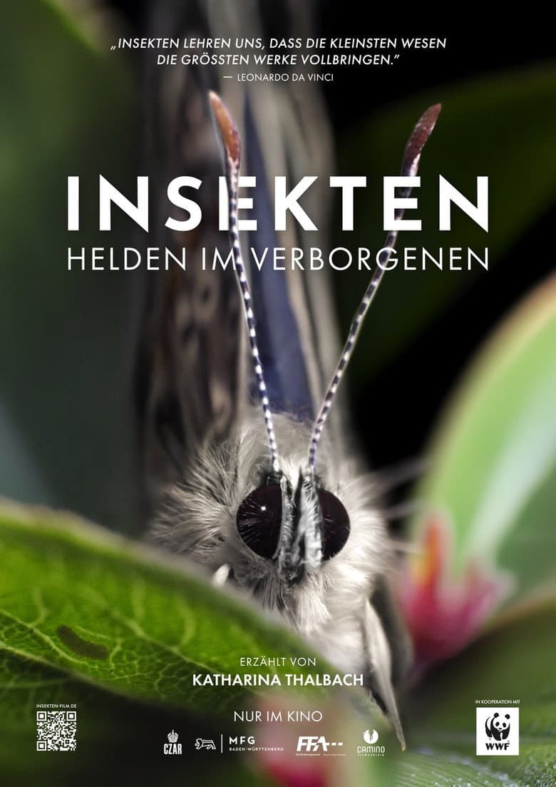 Insects – Hidden Heroes poster