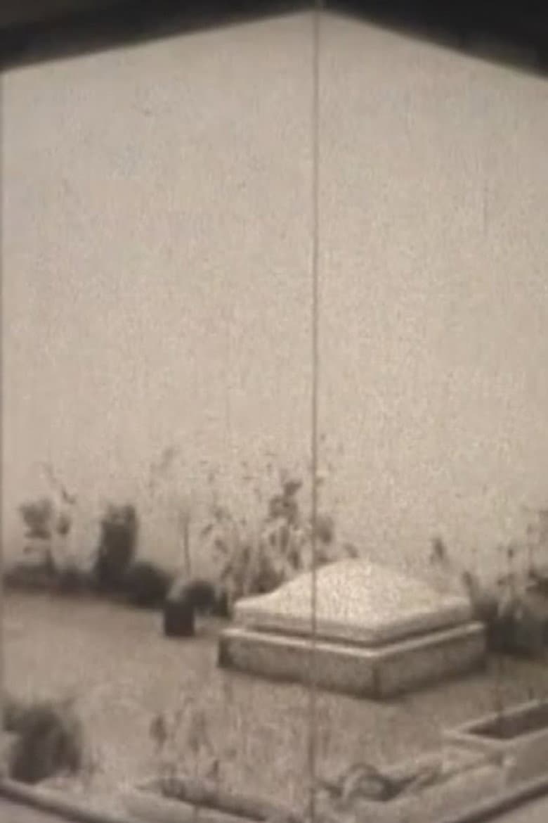 A Night When I Cannot Shoot poster