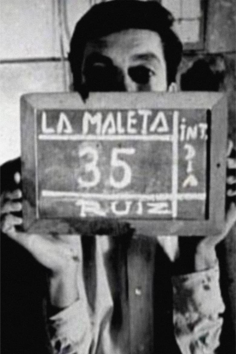 The Suitcase poster