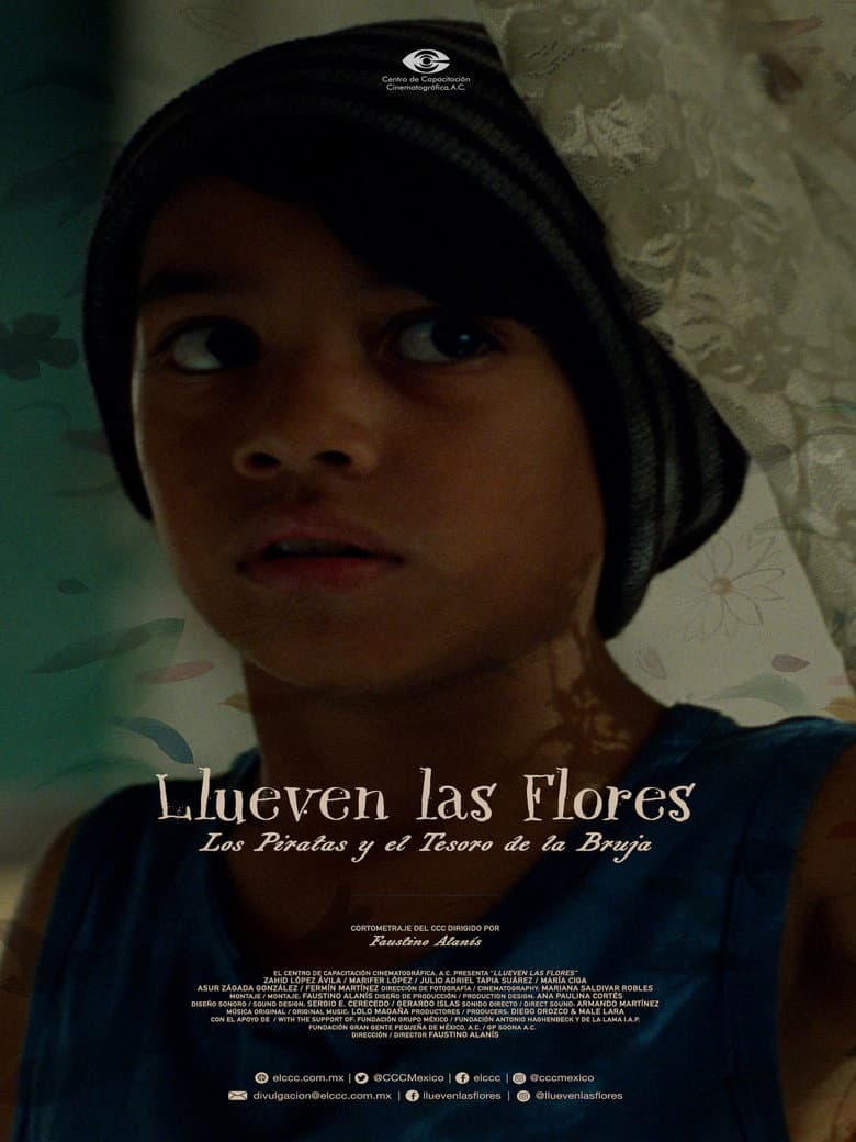 Llueven las flores, los piratas y el tesoro de la bruja poster
