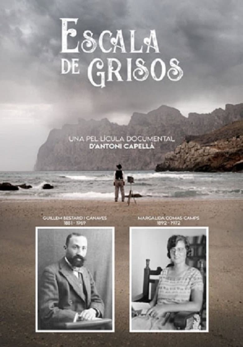 Escala de grisos poster