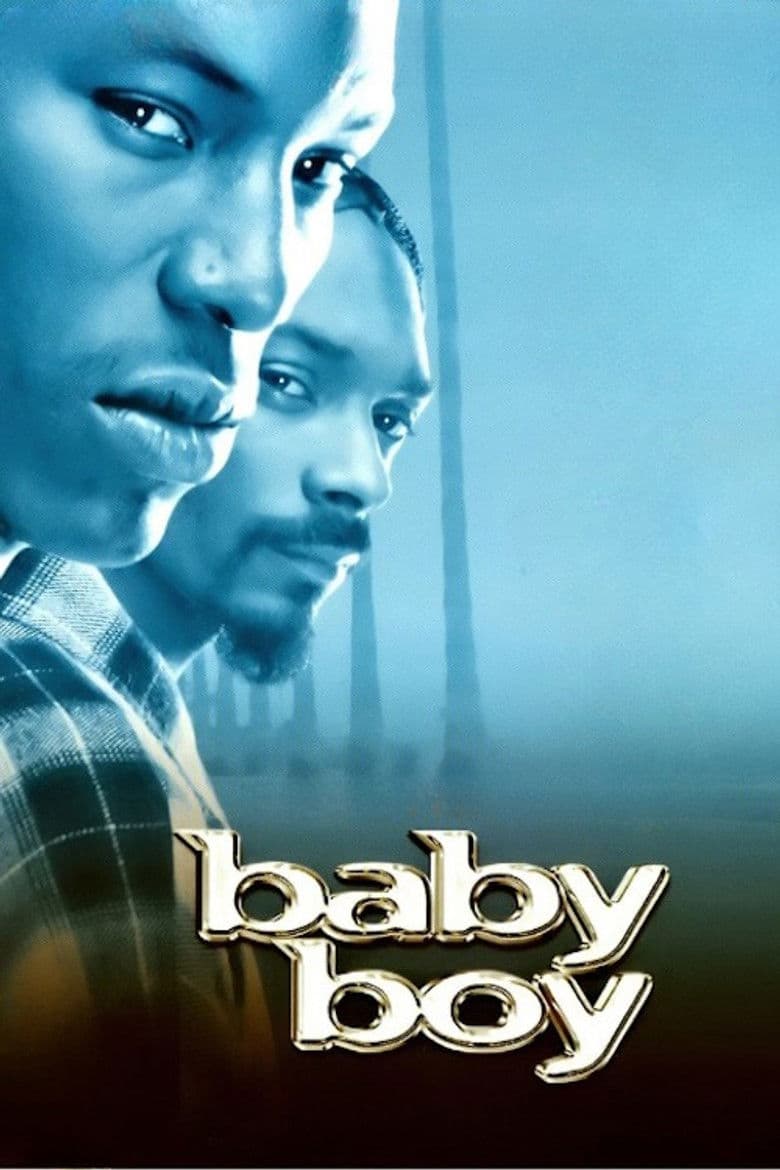 Baby Boy poster