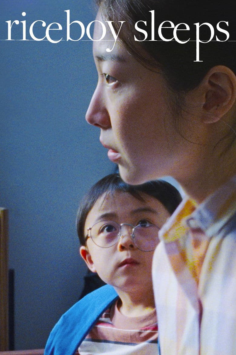 Riceboy Sleeps poster