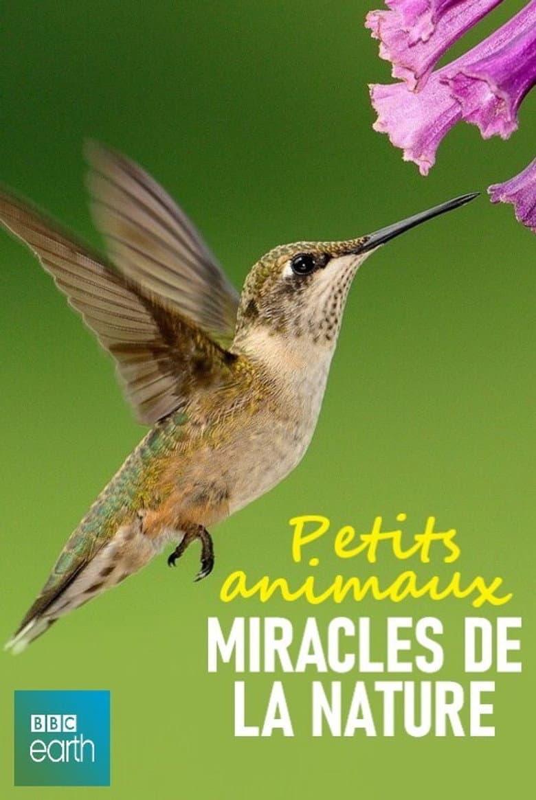 Petits animaux, miracles de la nature poster