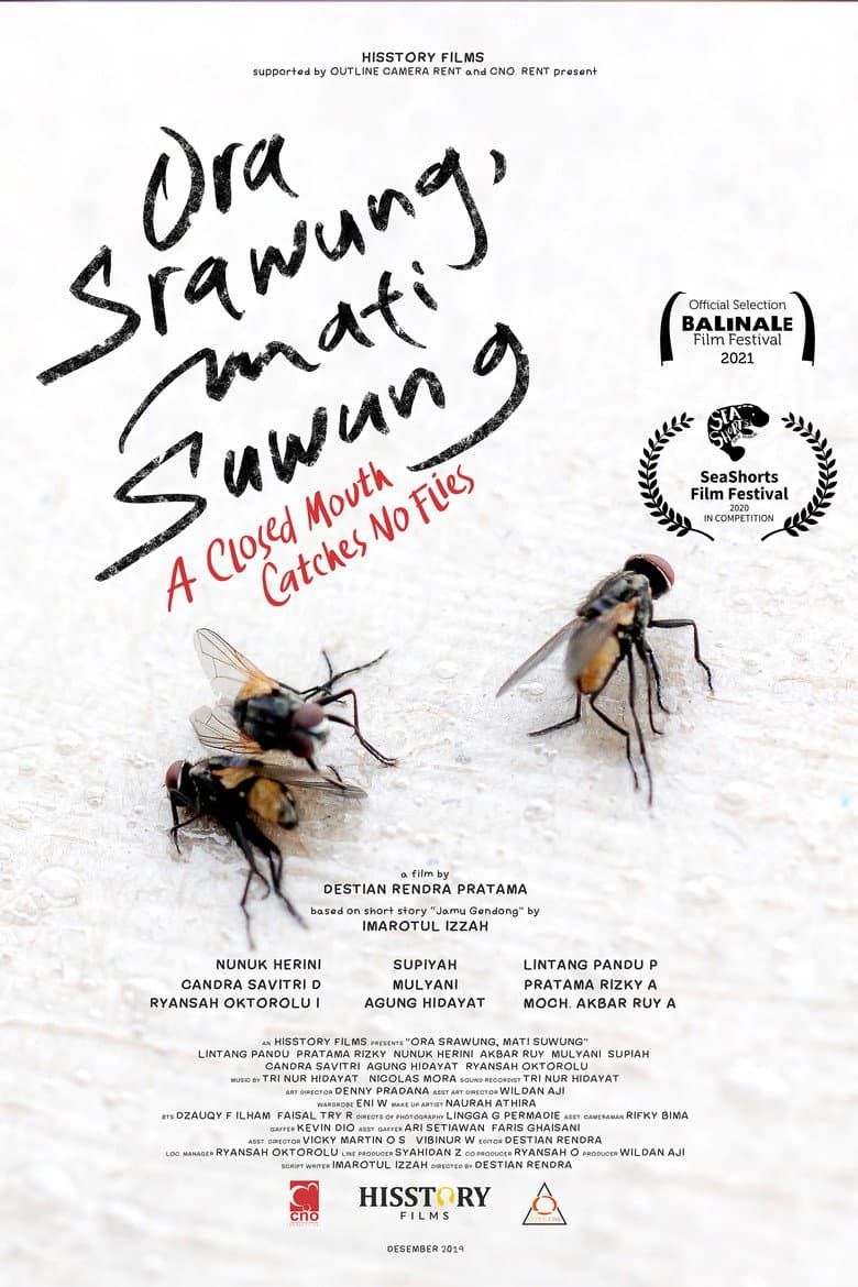 A Closed Mouth Catches No Flies poster