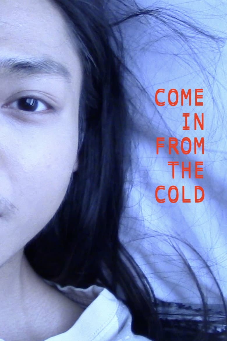 Come In From the Cold poster