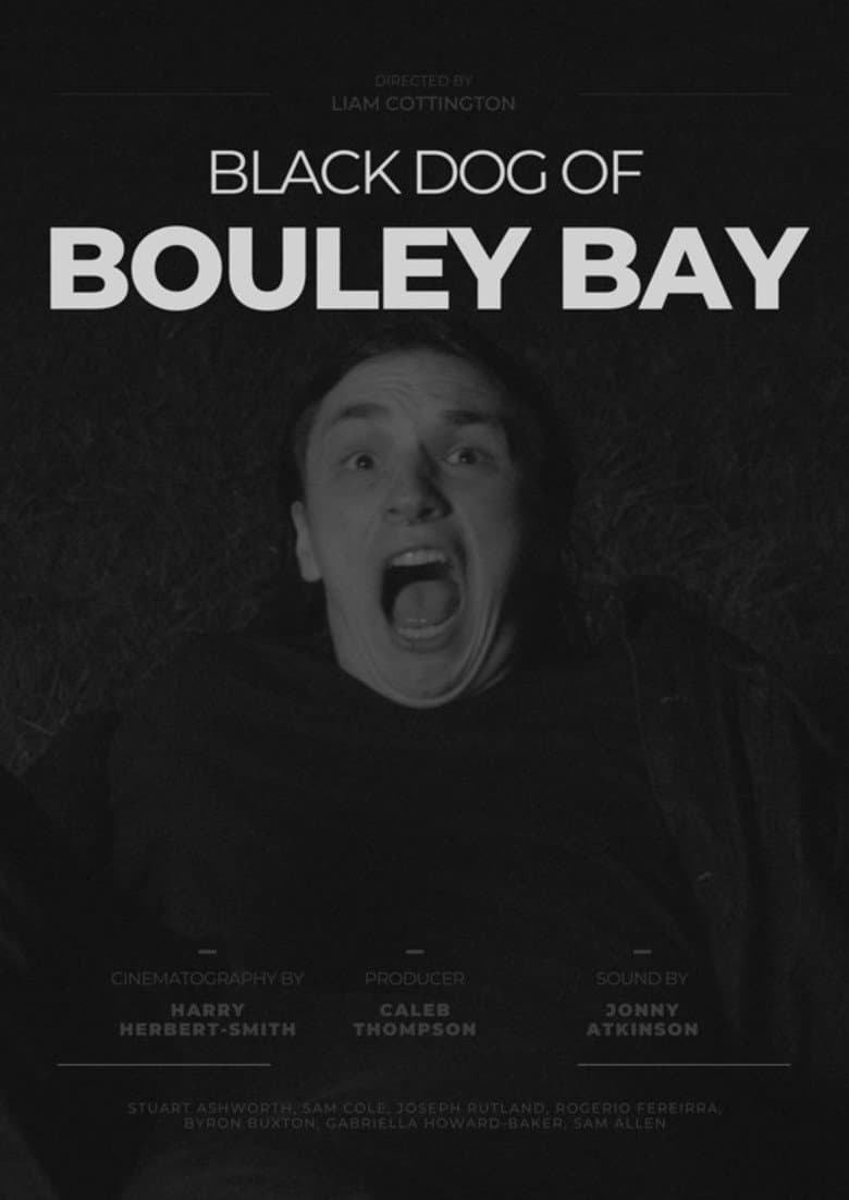 Black Dog of Bouley Bay poster