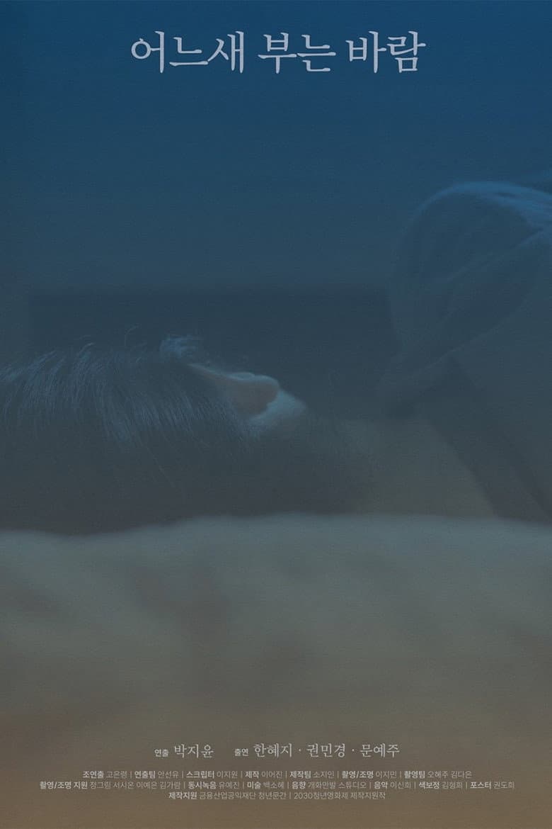 The Consolation of the Wind poster