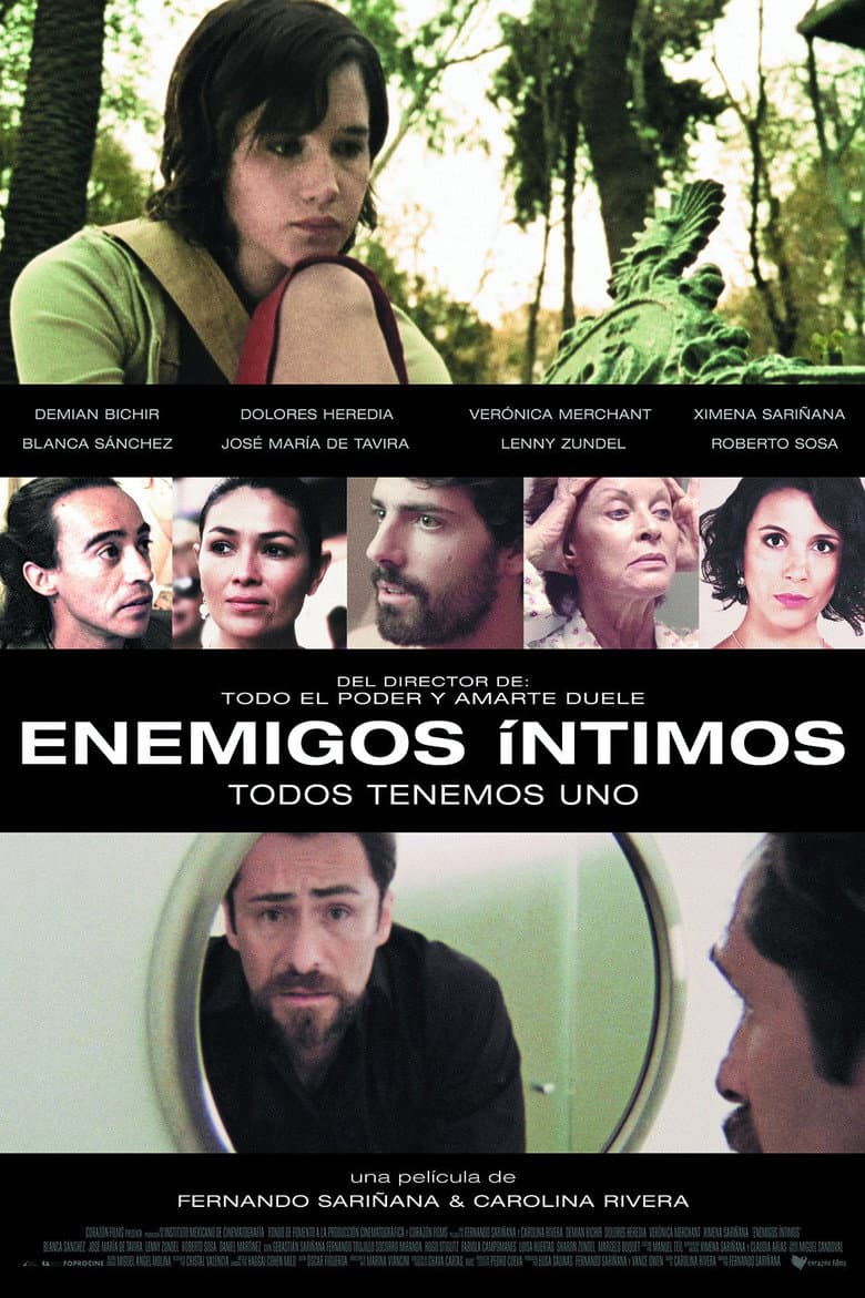 Enemigos íntimos poster