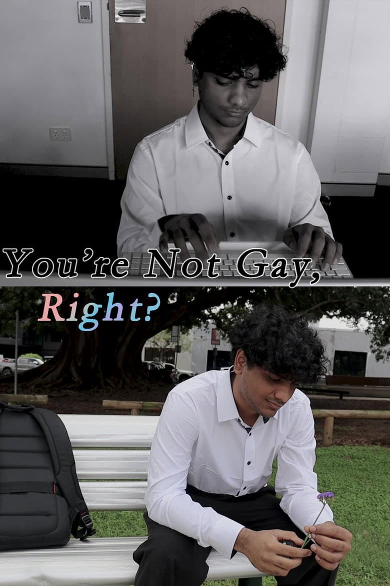 You're Not Gay, Right? poster
