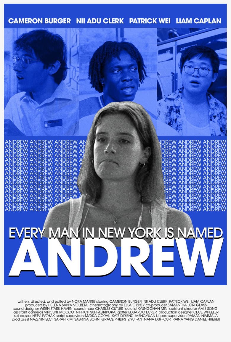 Every Man in New York Is Named Andrew poster