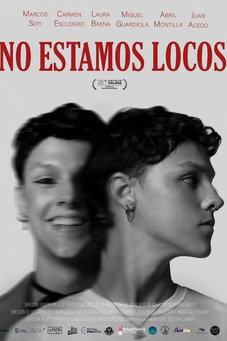 No estamos locos poster
