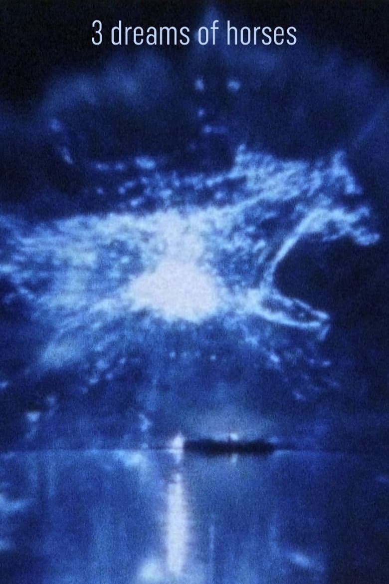 3 Dreams of Horses poster