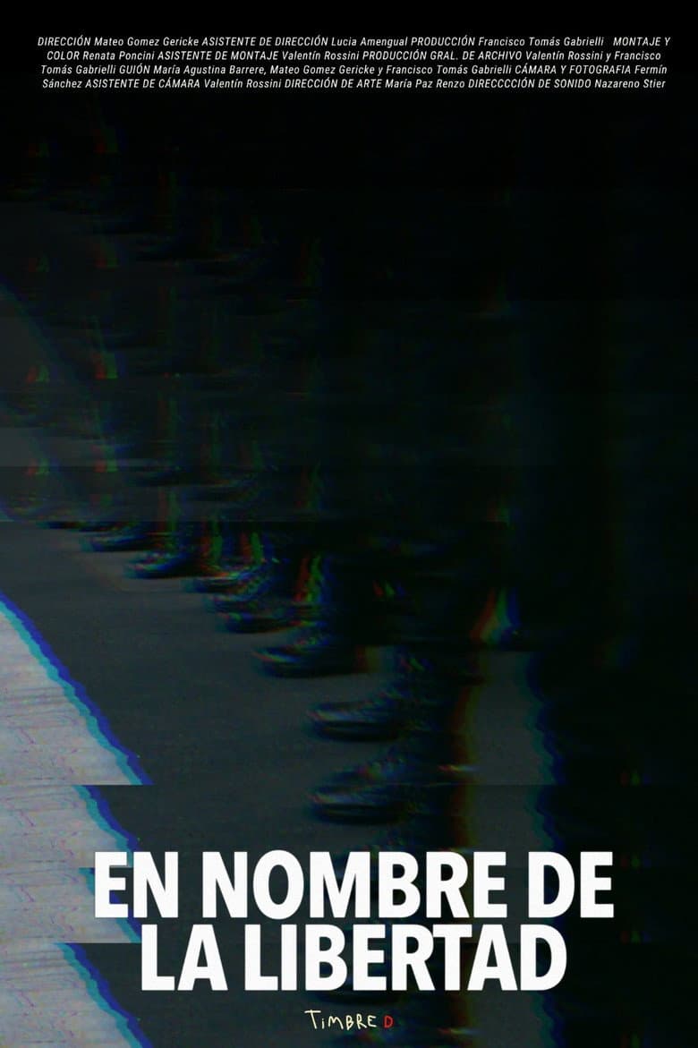 In the Name of Liberty poster