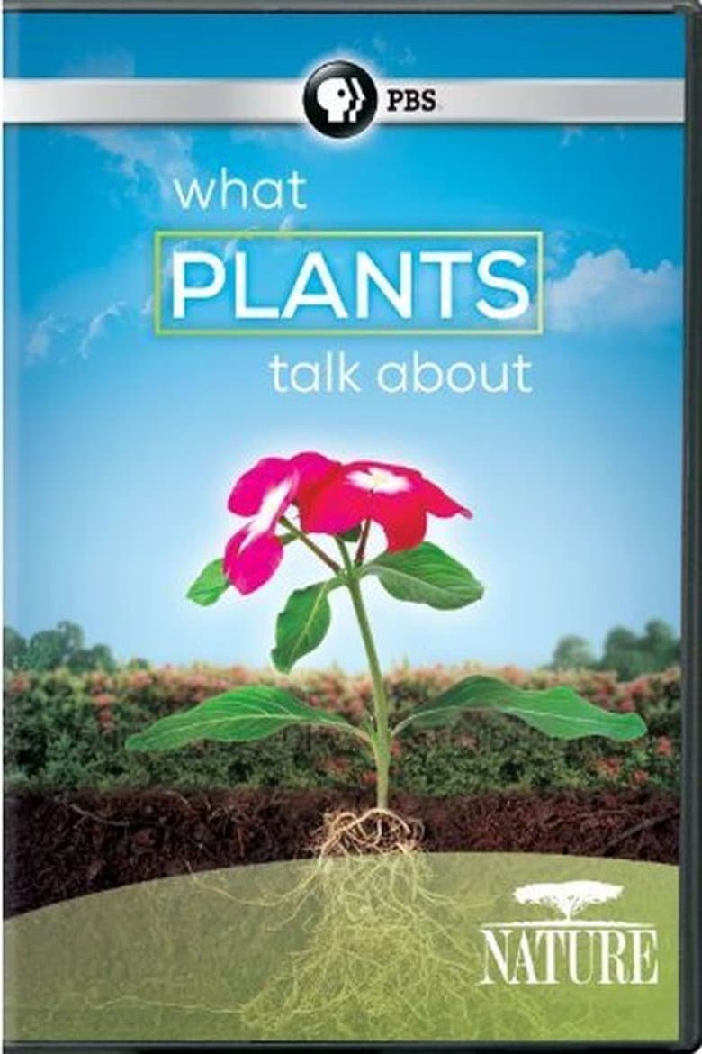 What Plants Talk About poster