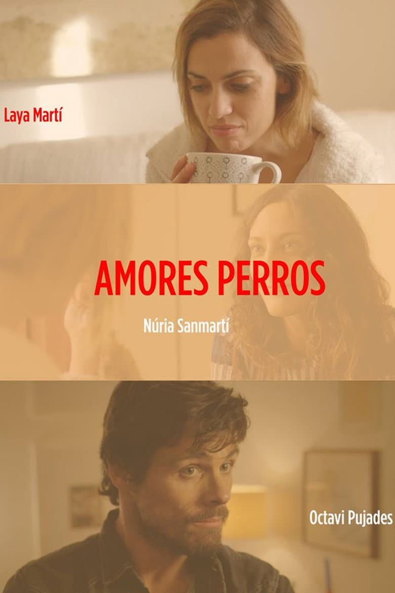 Amores perros poster