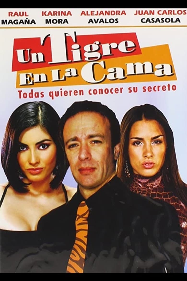 Un tigre en la cama poster