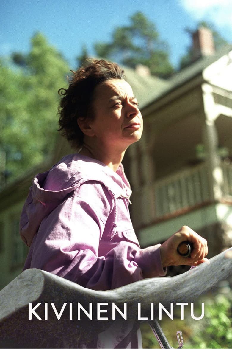 Kivinen lintu poster