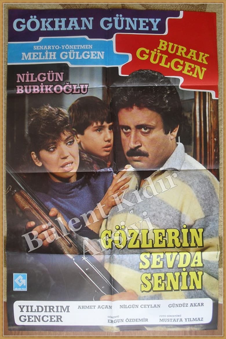Gözlerin Sevda Senin poster