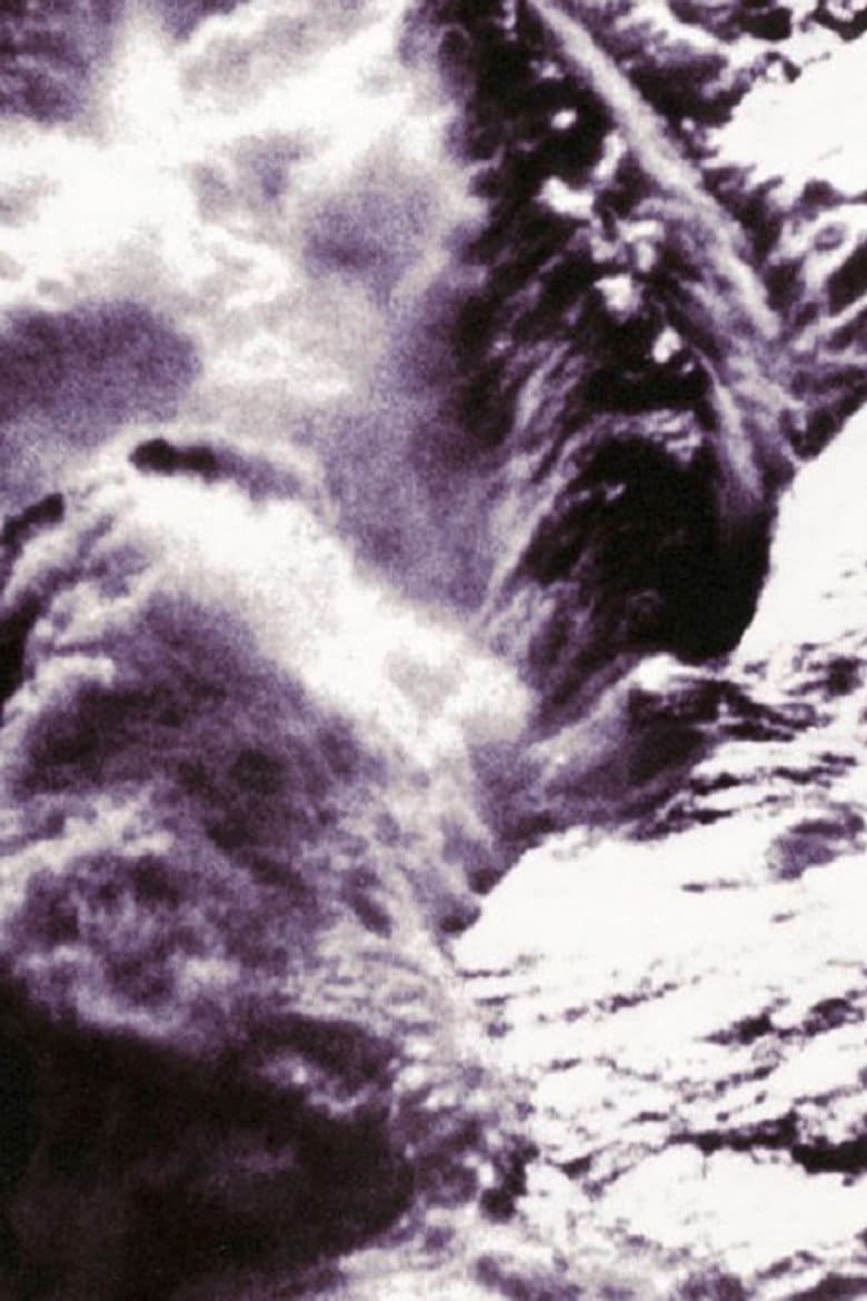 Looking at the Sea poster