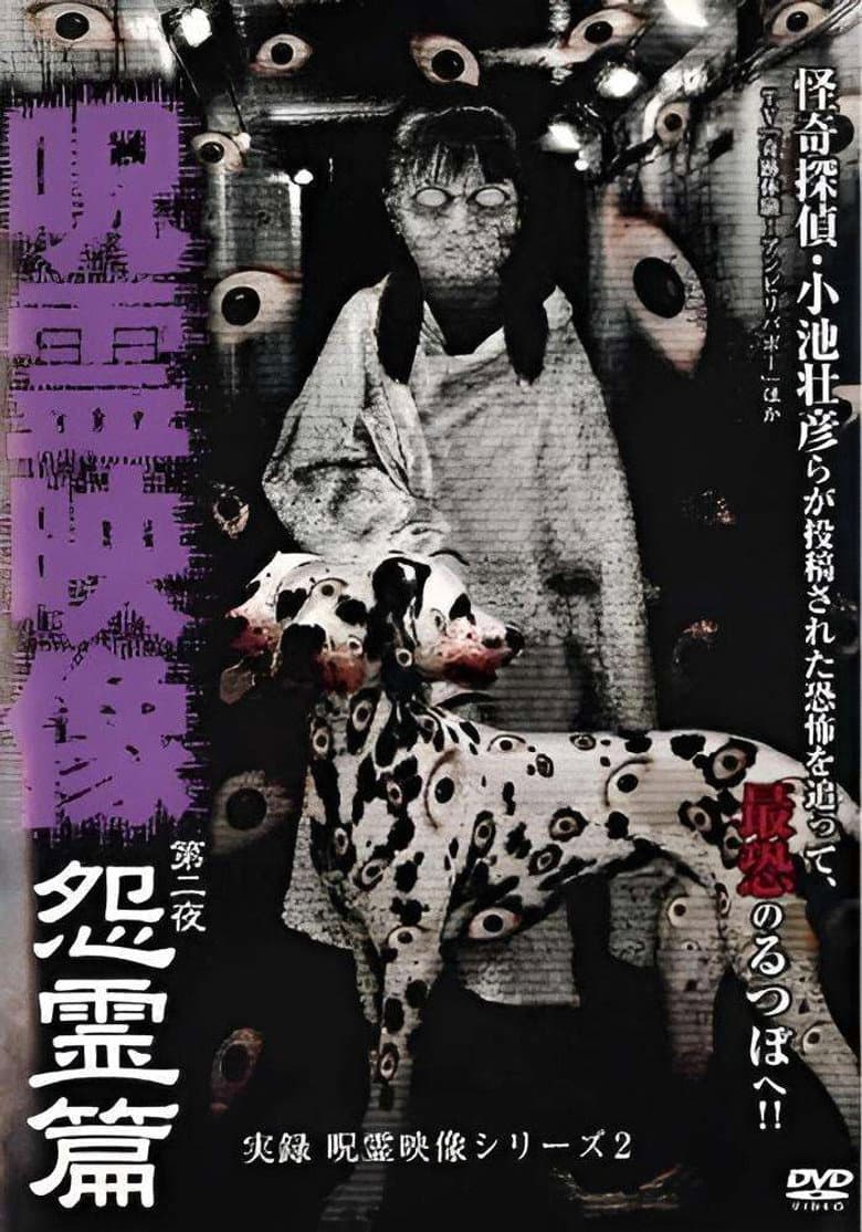 Jitsuroku Jurei Video Series 2: Jurei Video, Night 2: Grudge Spirit Arc poster