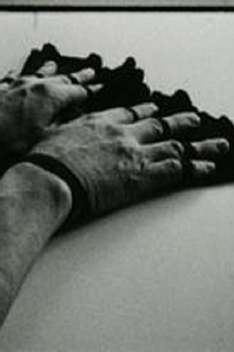 Fingerfächer poster