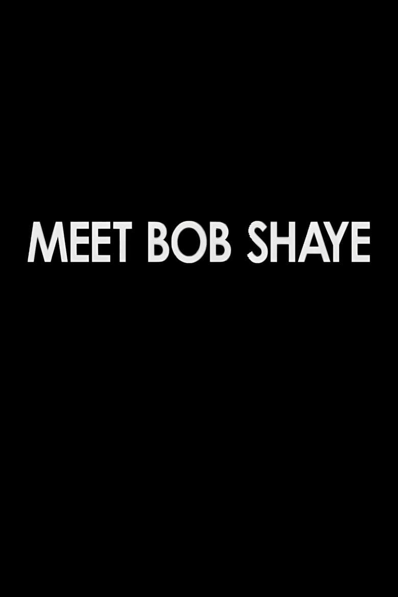 Meet Bob Shaye poster