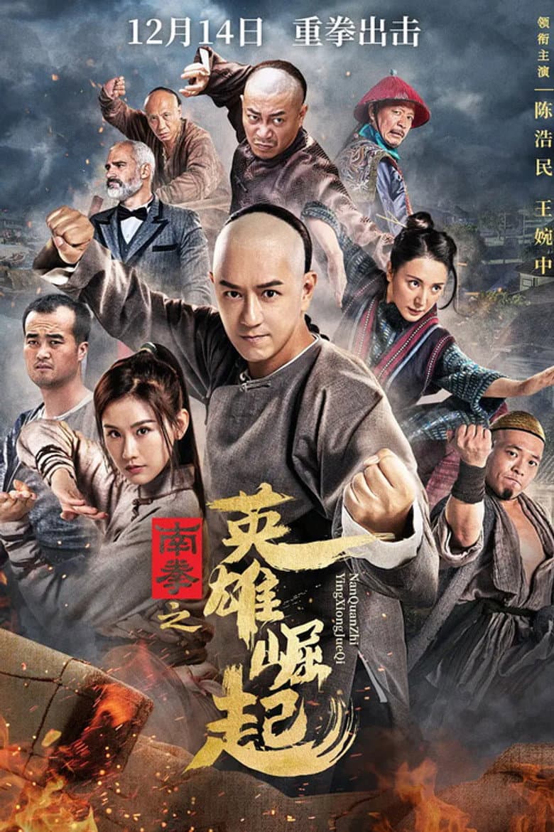 The Rise of Nanquan Fist poster